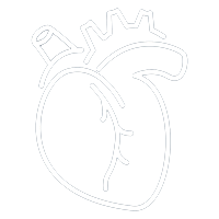 Icon Cardiorrenal Icon Cardiorrenal